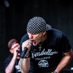 0197 Koza 022